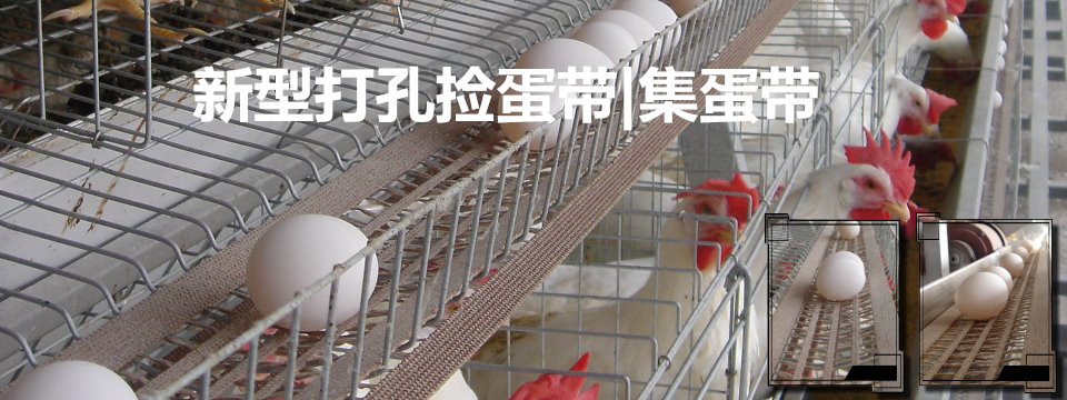 打孔撿蛋帶，集蛋帶